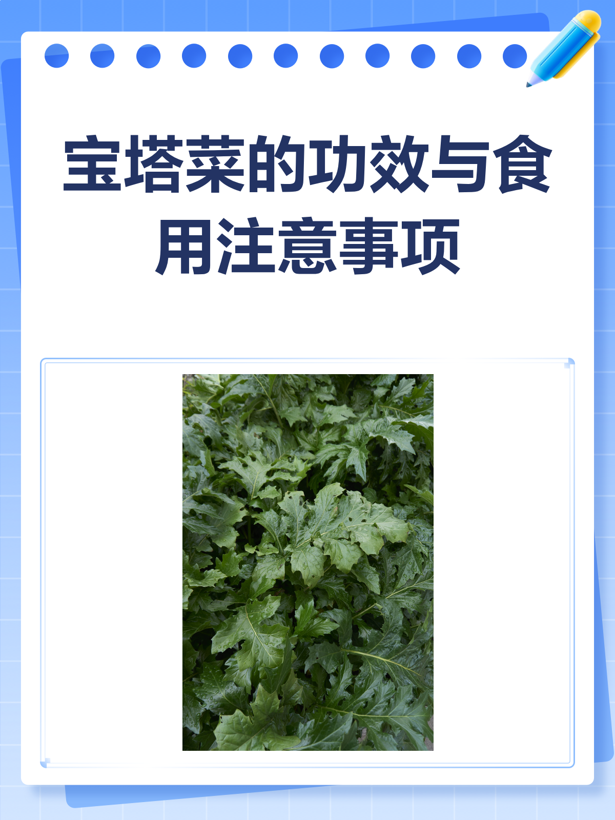 宝塔菜,营养满满,吃对才有效哦!