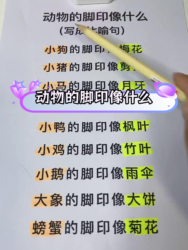 小动物脚印的奇妙比喻
