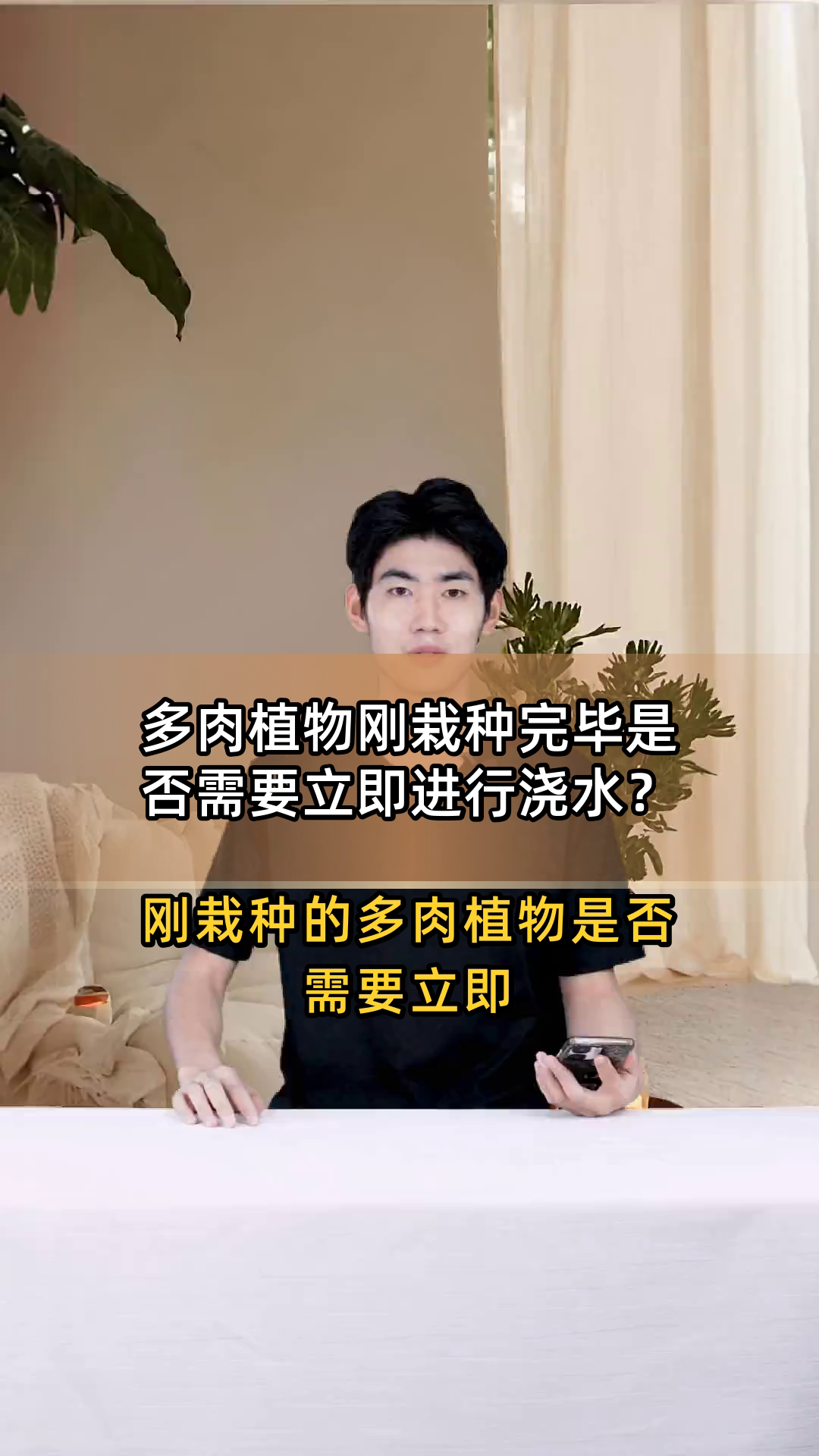 多肉植物刚栽种完毕是否需要立即进行浇水?