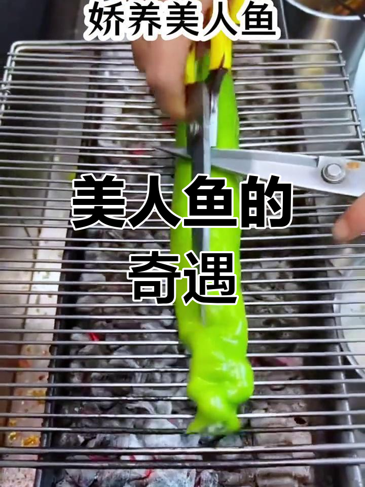 花费二十万,竟真的收到一条美人鱼!