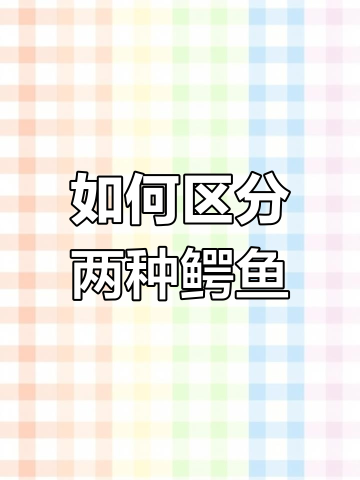 尼罗鳄与暹罗鳄皮的区别解析
