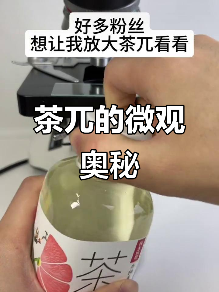 显微镜下看茶兀,微观世界大揭秘