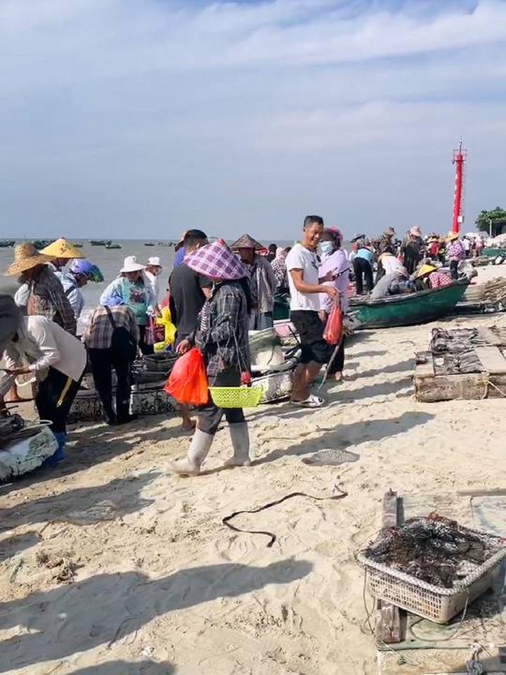 近期海鲜便宜，去小渔村看渔民带啥海鲜回船