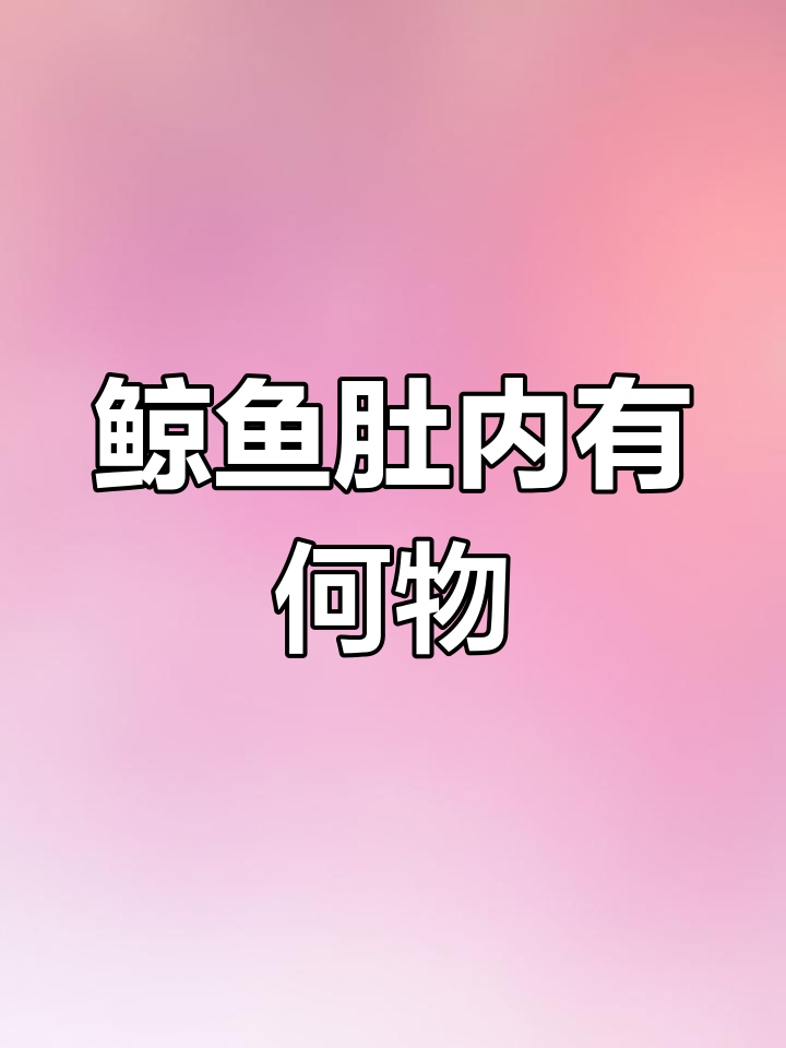 鲸鱼肚子里的秘密,揭秘其惊人构造