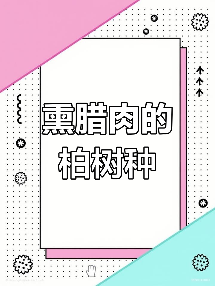 四川熏腊肉专用柏树种类
