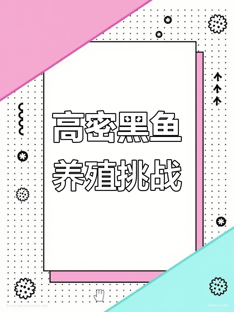 黑鱼养殖高密度风险,病毒性疾病频发
