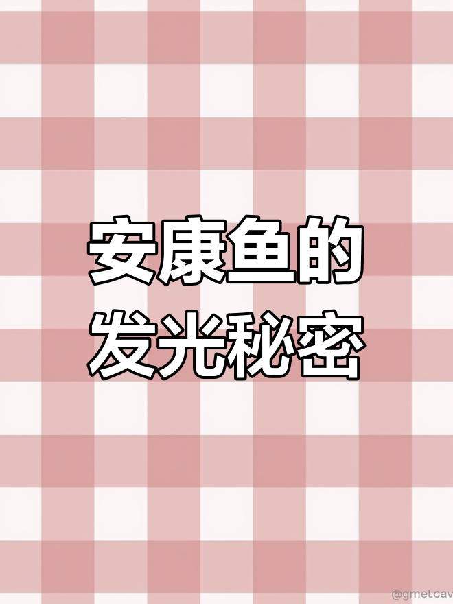 深海中的神秘生物,安康鱼的光与影