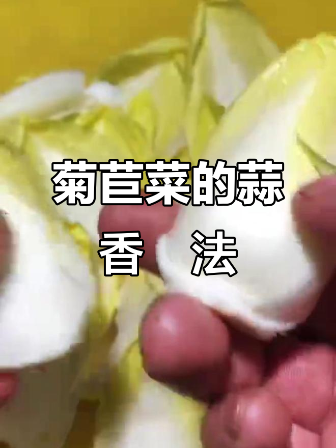 菊苣菜:营养丰富,简单易学的蒜蓉焗做法