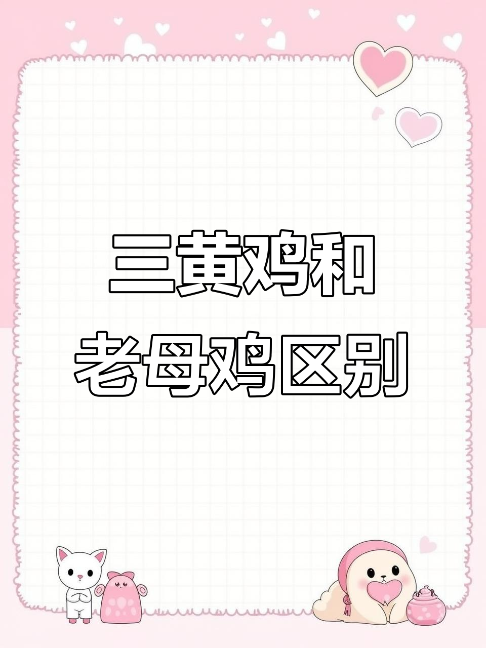 老母鸡与三黄鸡的区别,你分清楚了吗?