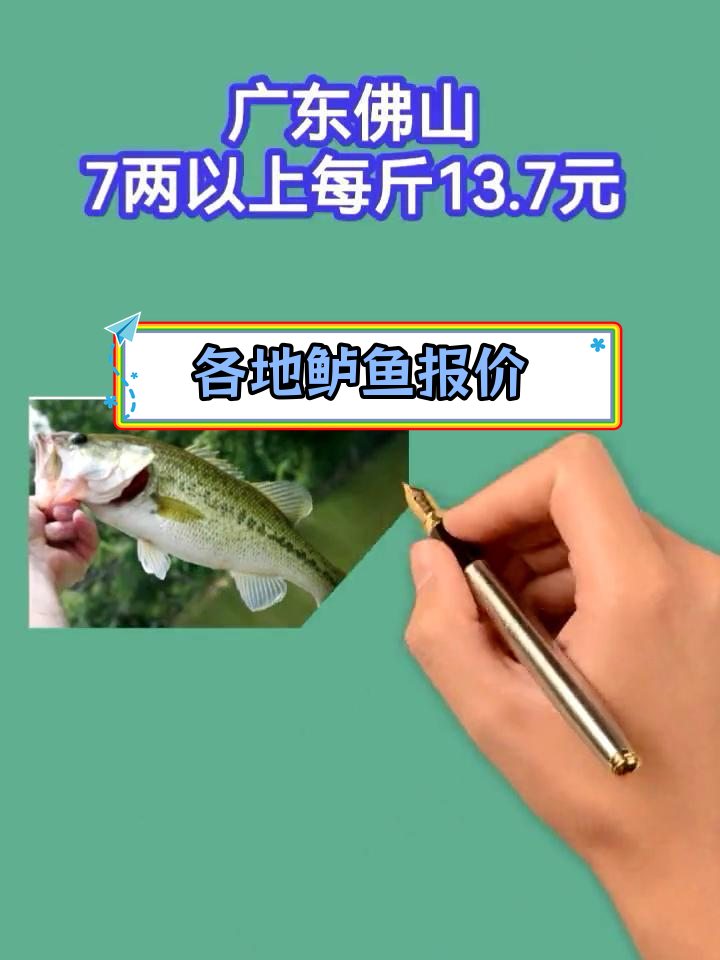 2024年鲈鱼市场价格分析