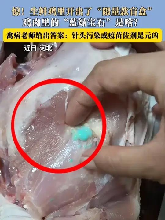 惊!生鲜鸡里开出了“限量款盲盒” 鸡肉里的“蓝绿宝石”是啥?禽病老师给出答案:针头污染或疫