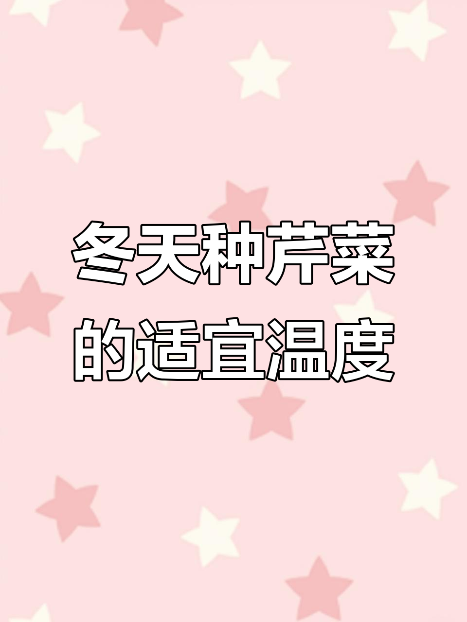 寒冷冬季最适合种植的芹菜,如何掌握温度技巧?