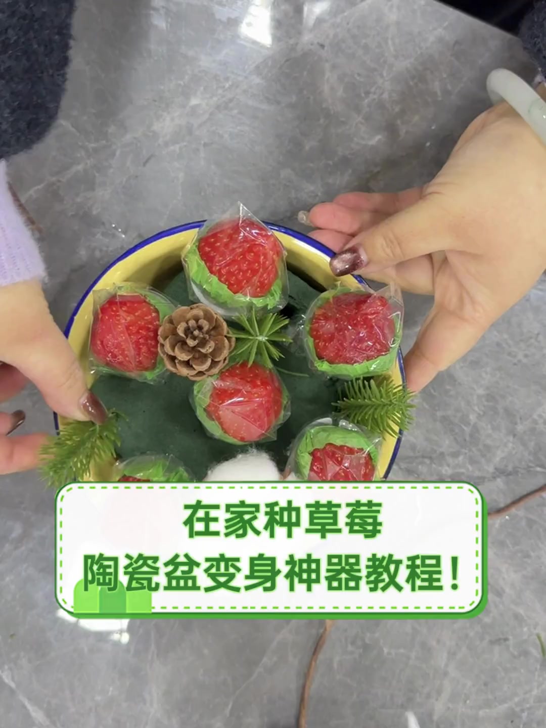 在家种草莓,陶瓷盆变身神器教程!