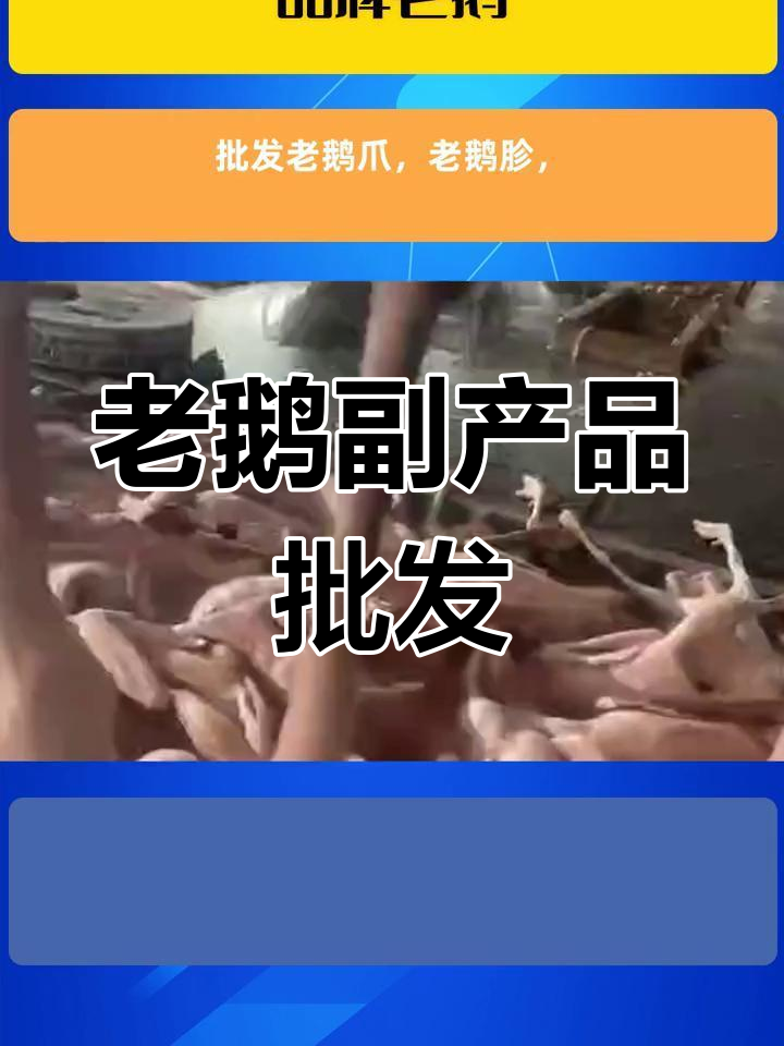 新鲜白条鹅,批发老鹅爪