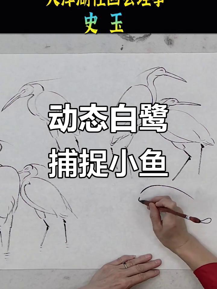 白鹭捕食瞬间,水墨画技巧大揭秘