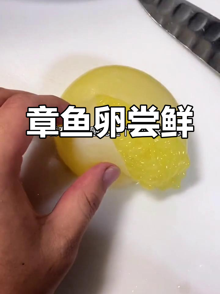 试吃章鱼卵,生熟口感大不同