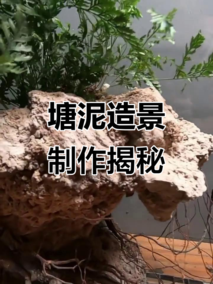 35X20X22鱼缸造景全流程,打造悬空石头与阴影环境