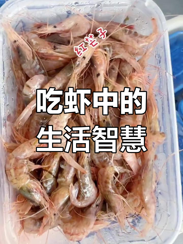 生活中的小确幸,吃虾也能学东西