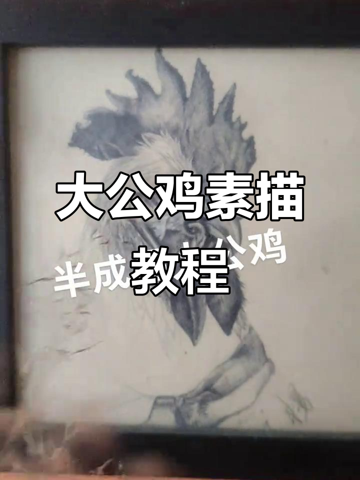 儿童素描大公鸡,绘画步骤全纪录