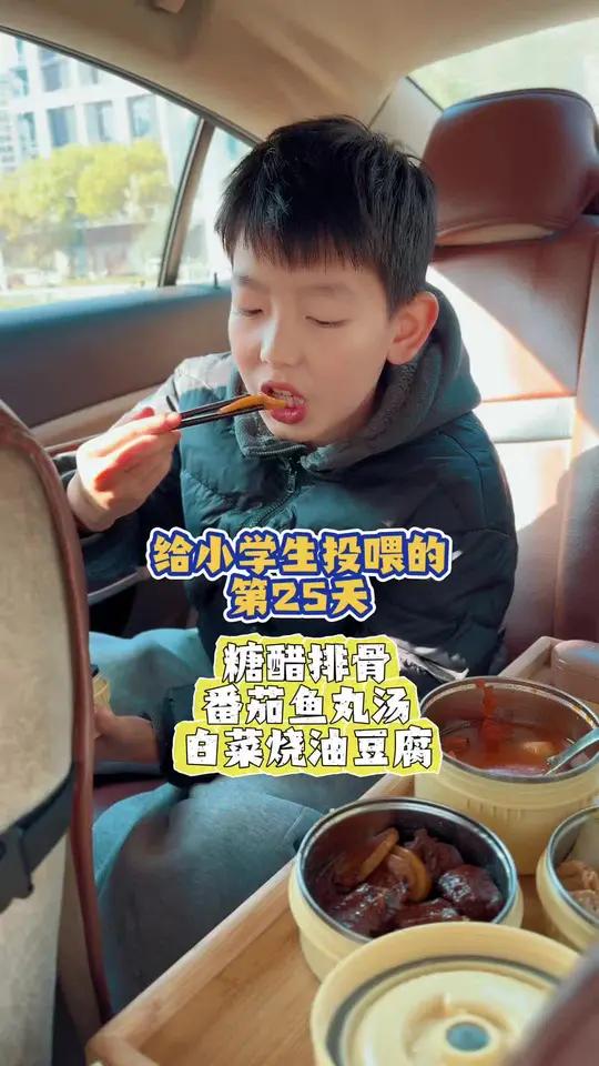 给小学生投喂第四期第25集｜糖醋排骨、番茄鱼丸汤、白菜烧油豆腐！