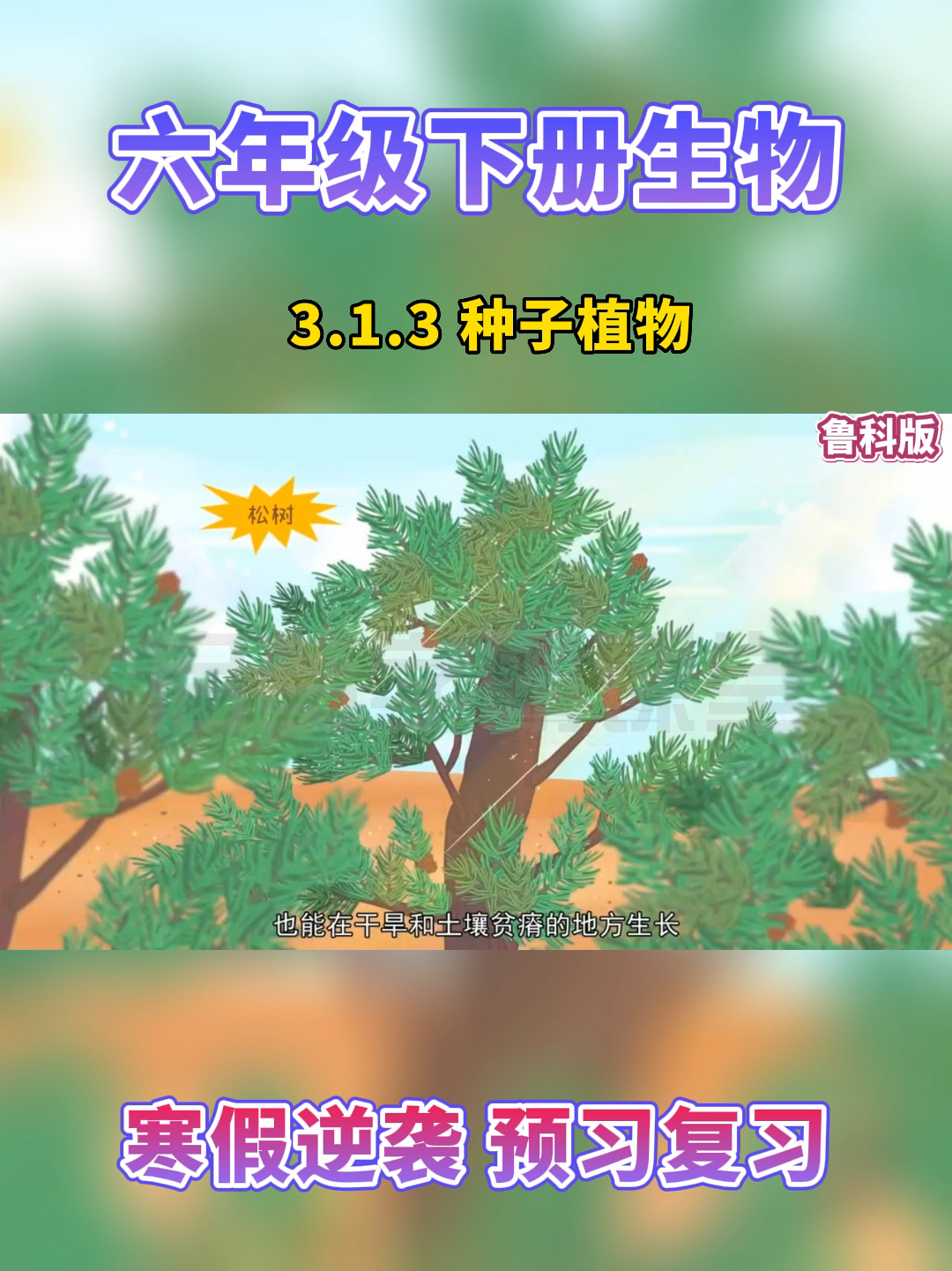 六年级下册生物3.1.3《种子植物》鲁科版