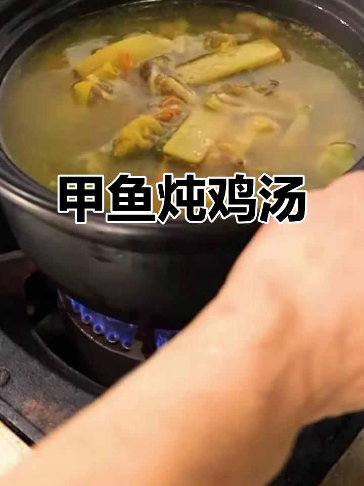 过年必备甲鱼火锅,炖鸡加党参虫草滋补满满