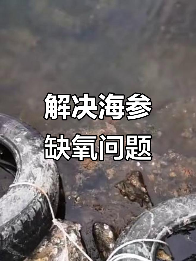 海参圈缺氧原因揭秘，烂草才是罪魁祸首