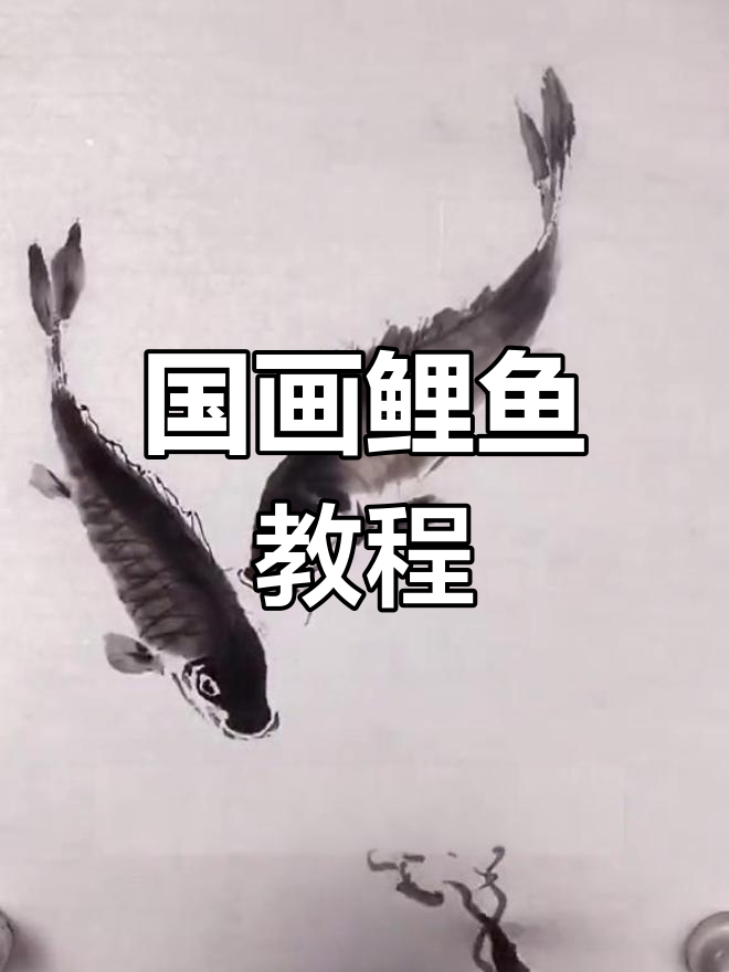 轻松学会国画鲤鱼,淡墨浓墨技巧全解析