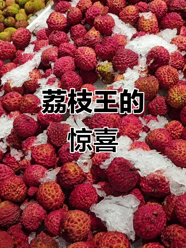 海南荔枝王现身郑州,桂味糯米糍却难寻踪迹