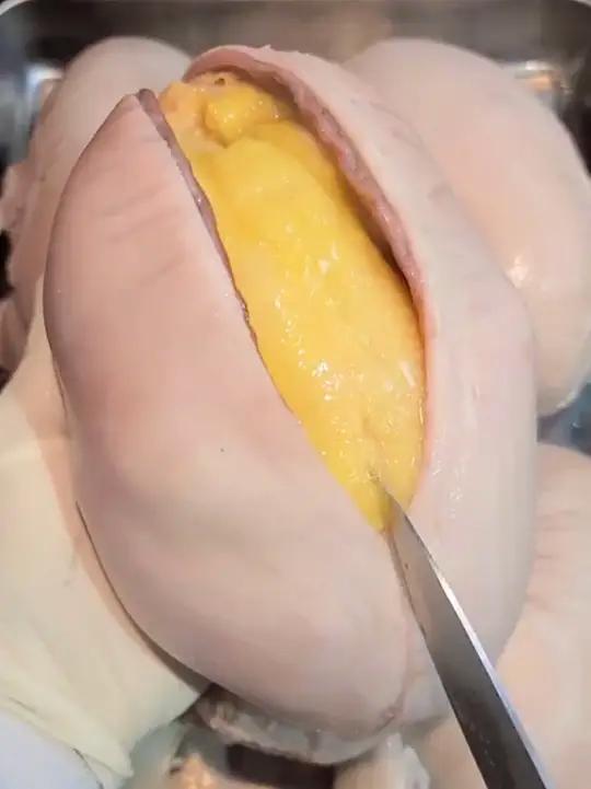 分享鸡肉最经典的50种吃法，你吃过几种？#鸡肉的经典吃法 #鸡肉做法大全 #美食推荐官 #