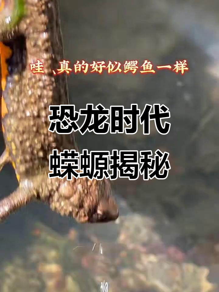 恐龙时代的蝾螈,长得像蜥蜴的奇特四脚鱼