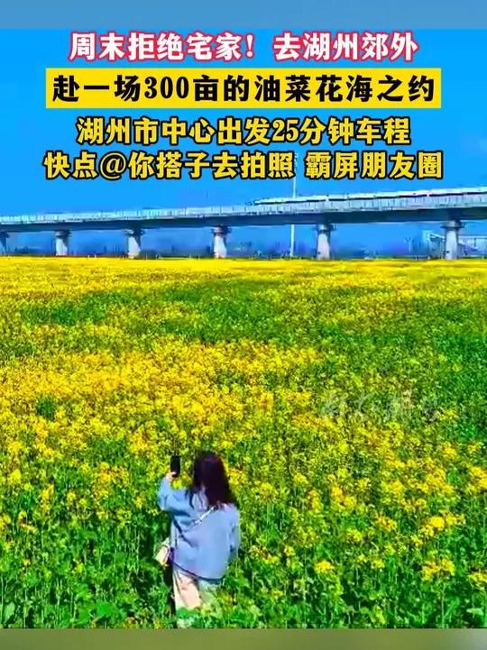 周末拒绝宅家!去湖州郊外赴一场300亩的油菜花海之约!湖州市中心出发25分钟车程,快点@你