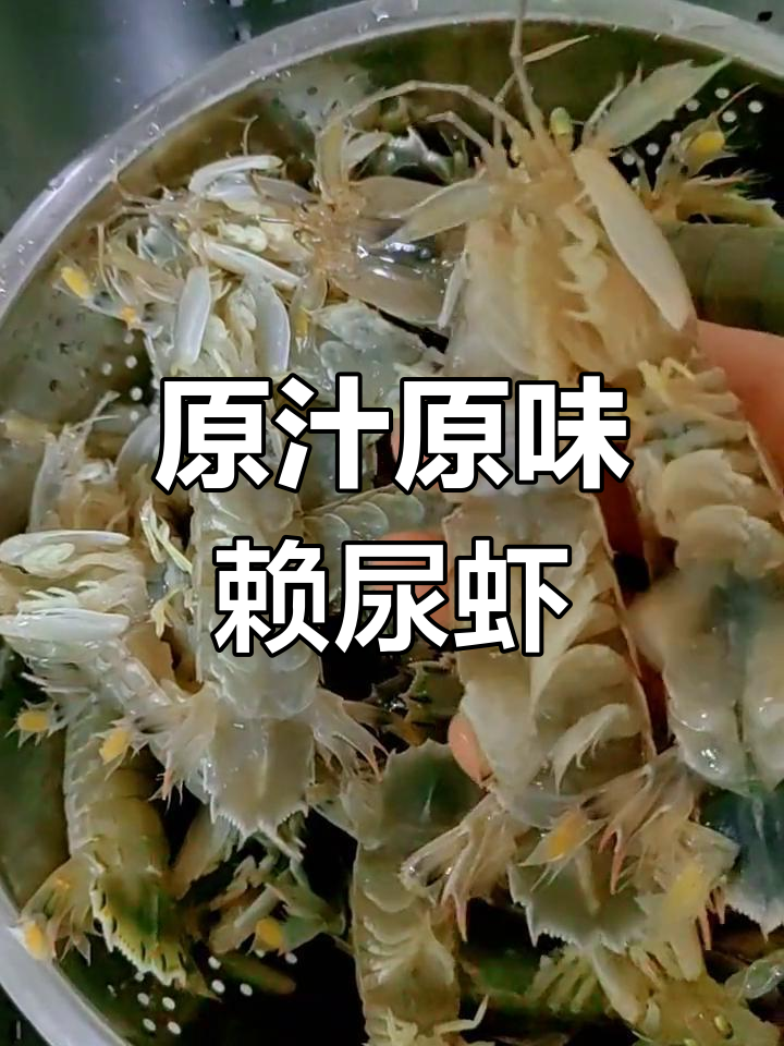 简单蒸制濑尿虾,鲜甜美味