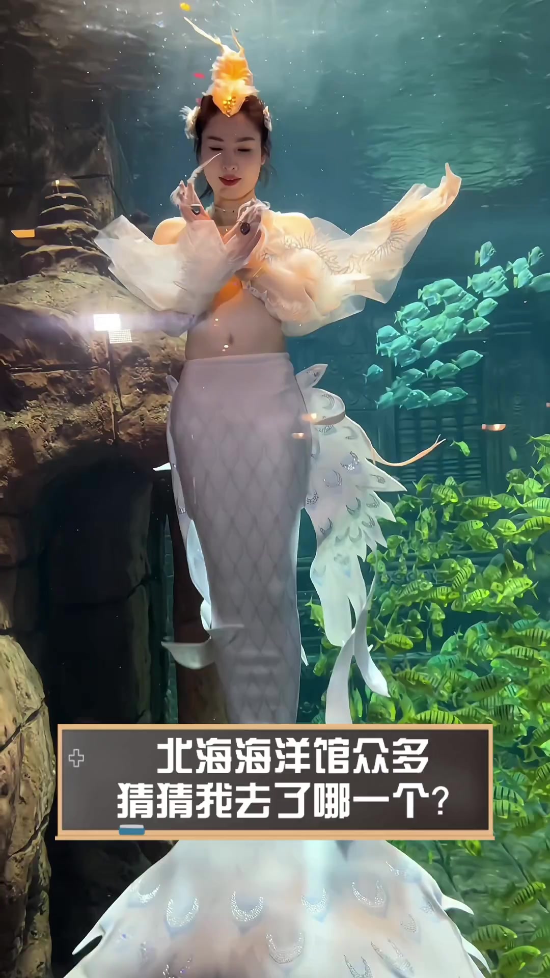 北海海洋馆众多,猜猜我去了哪一个?