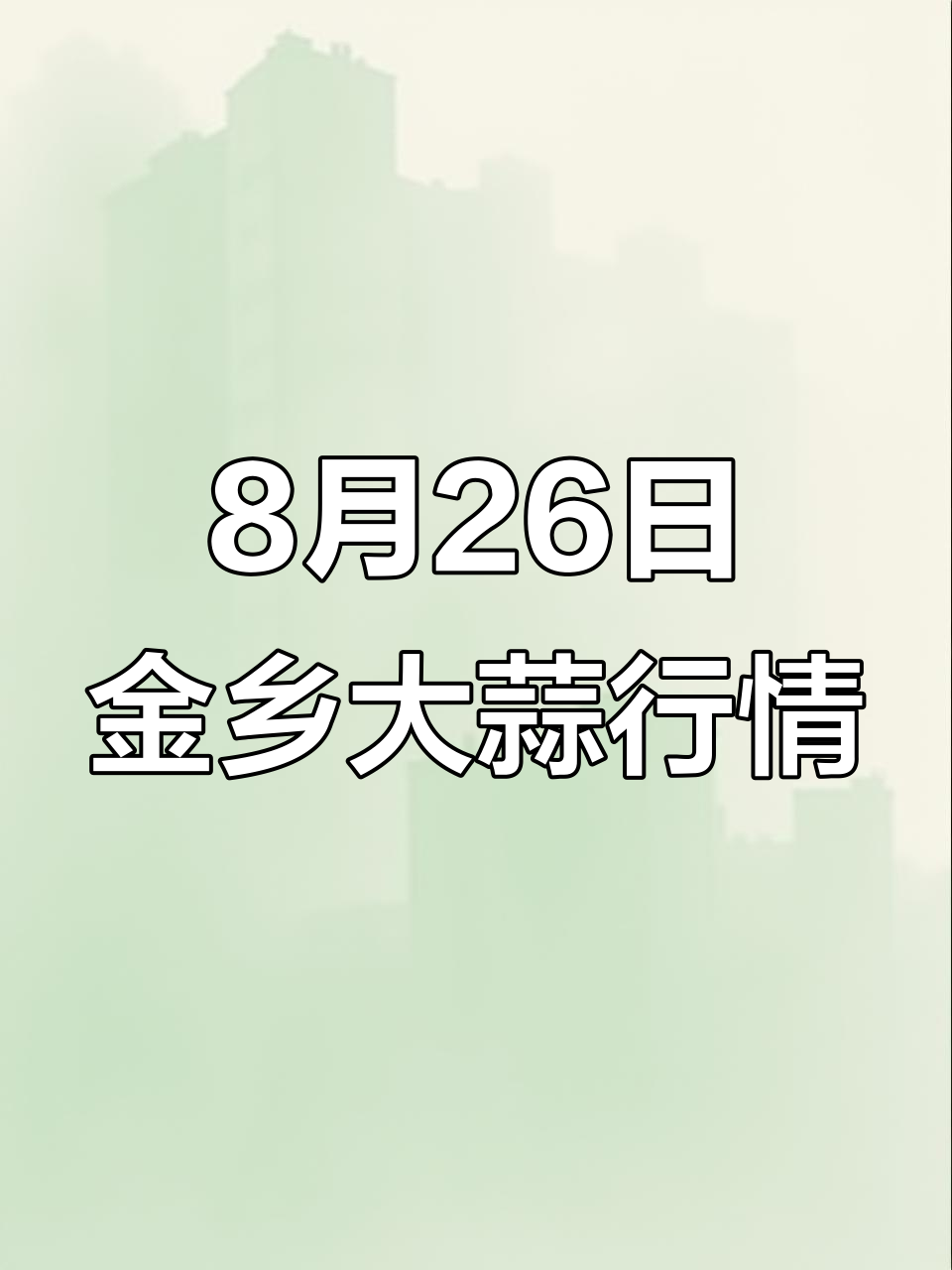 8月26日金乡大蒜市场平稳，冷库蒜价格波动不大