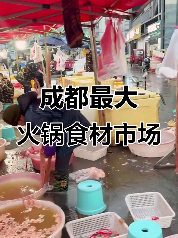 成都火锅食材批发市场大揭秘,价格便宜又新鲜