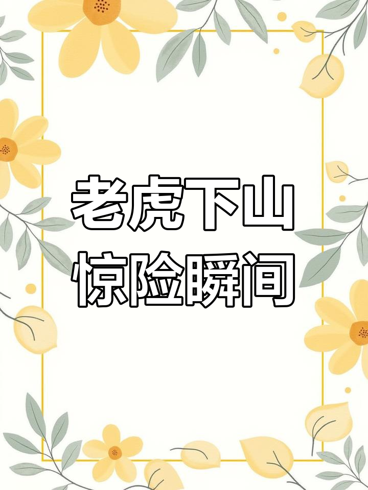 野生东北虎现身田间,飞奔进村