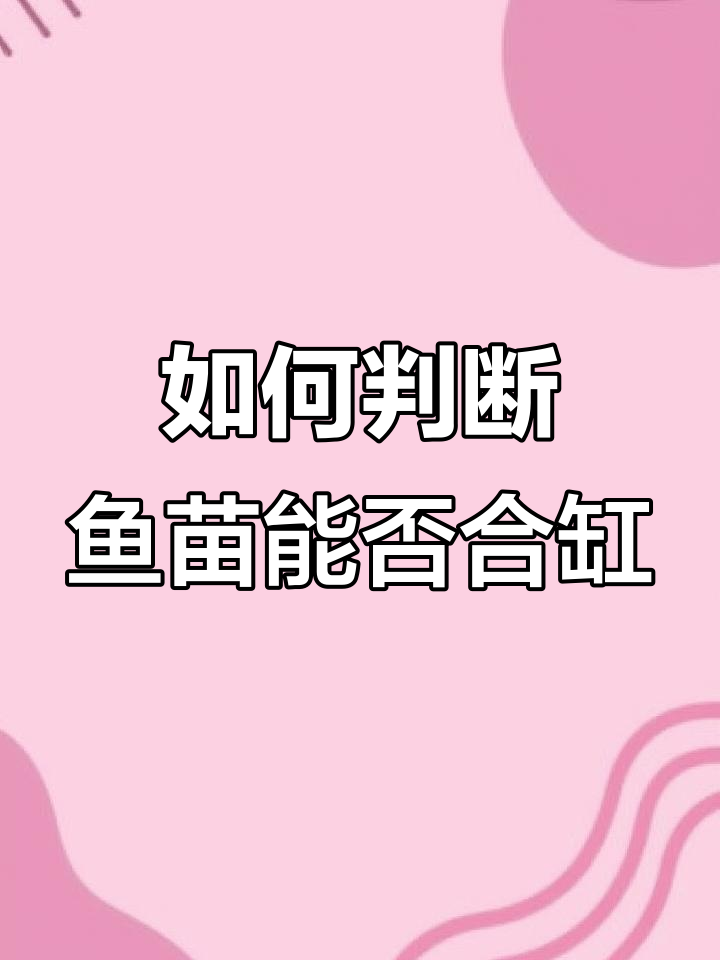 鱼苗合缸时机大揭秘,水泵选择很重要!