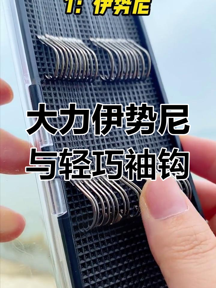 钓鱼人最常用的两种鱼钩,哪种更适合大中小型鱼类?