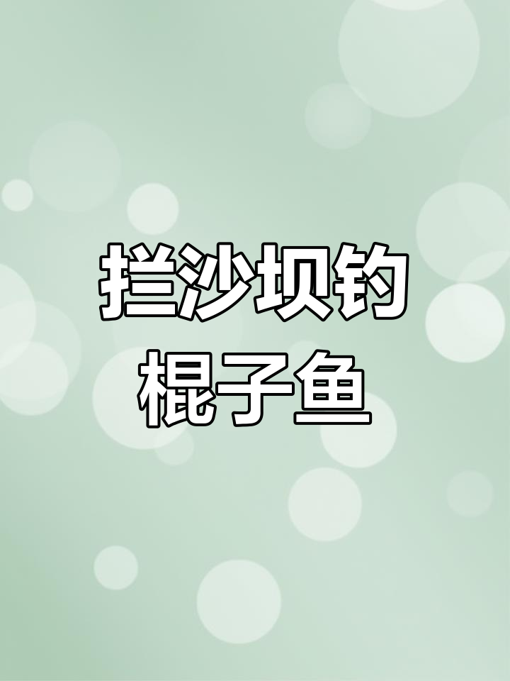 杏江河蓝沙坝钓鱼,黄伟雇鱼闹窝棍子鱼不多
