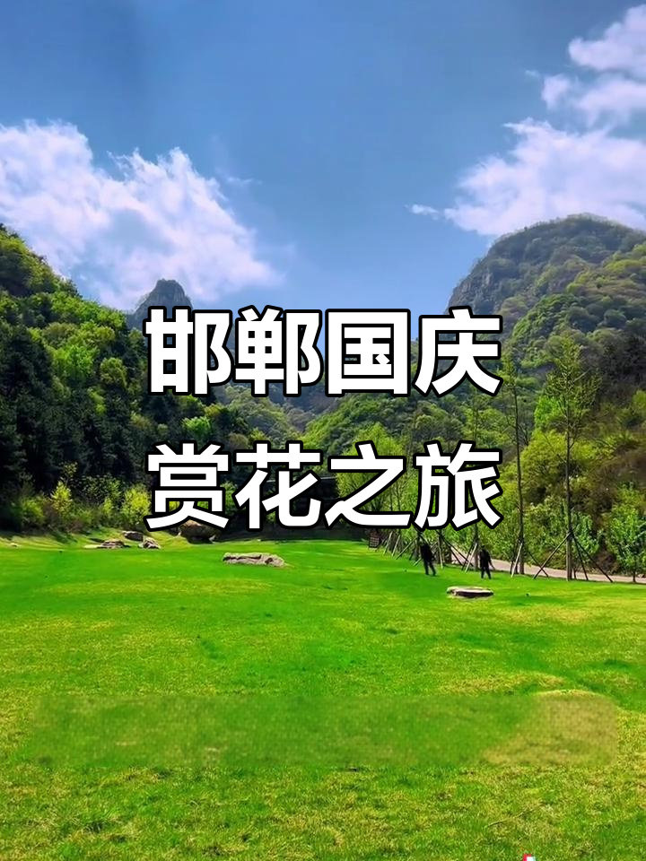 国庆邯郸一日游,千亩花海免费开放,尽享自然美景