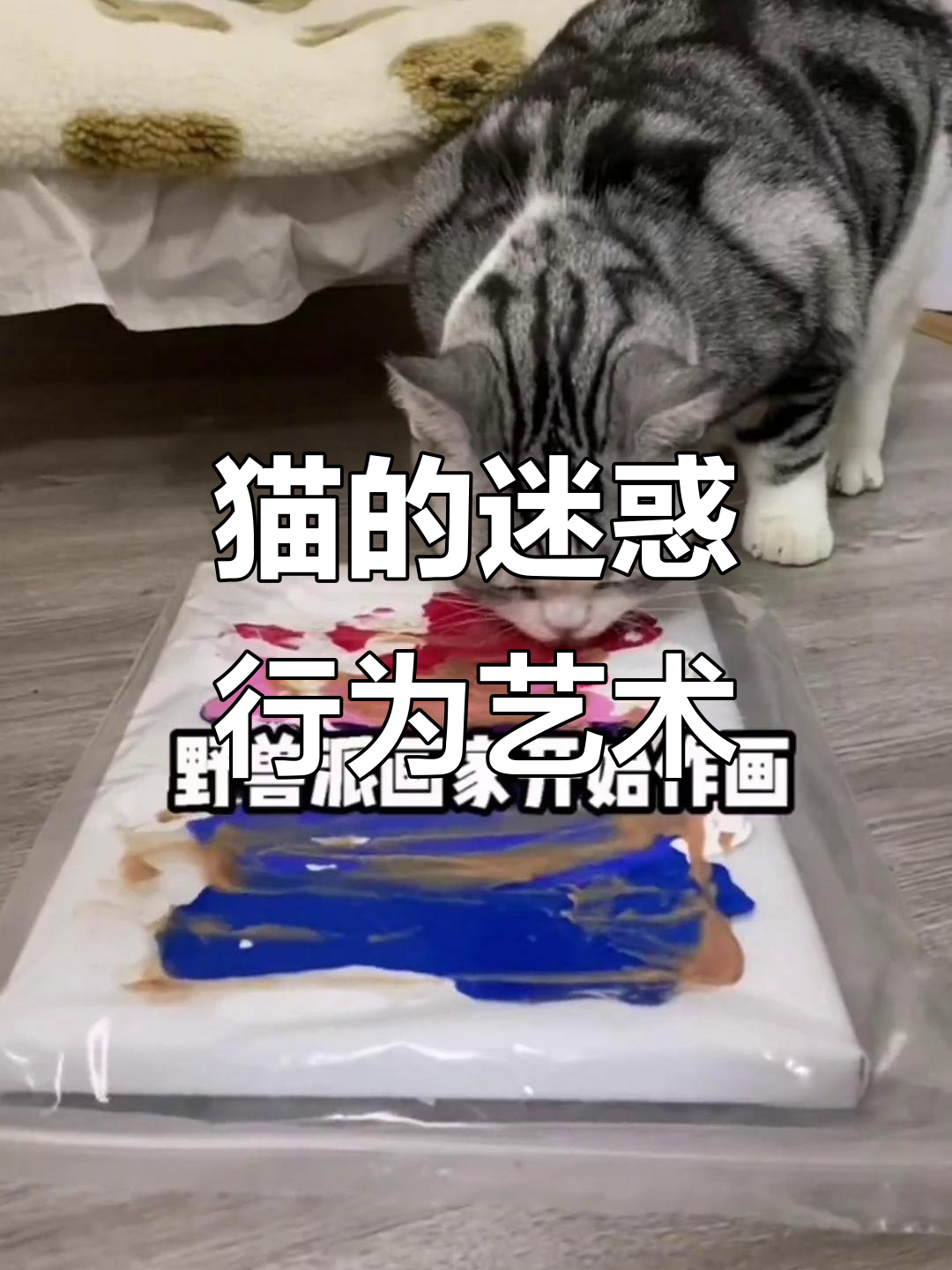 猫咪也能成为小画家,乱涂乱画创意十足