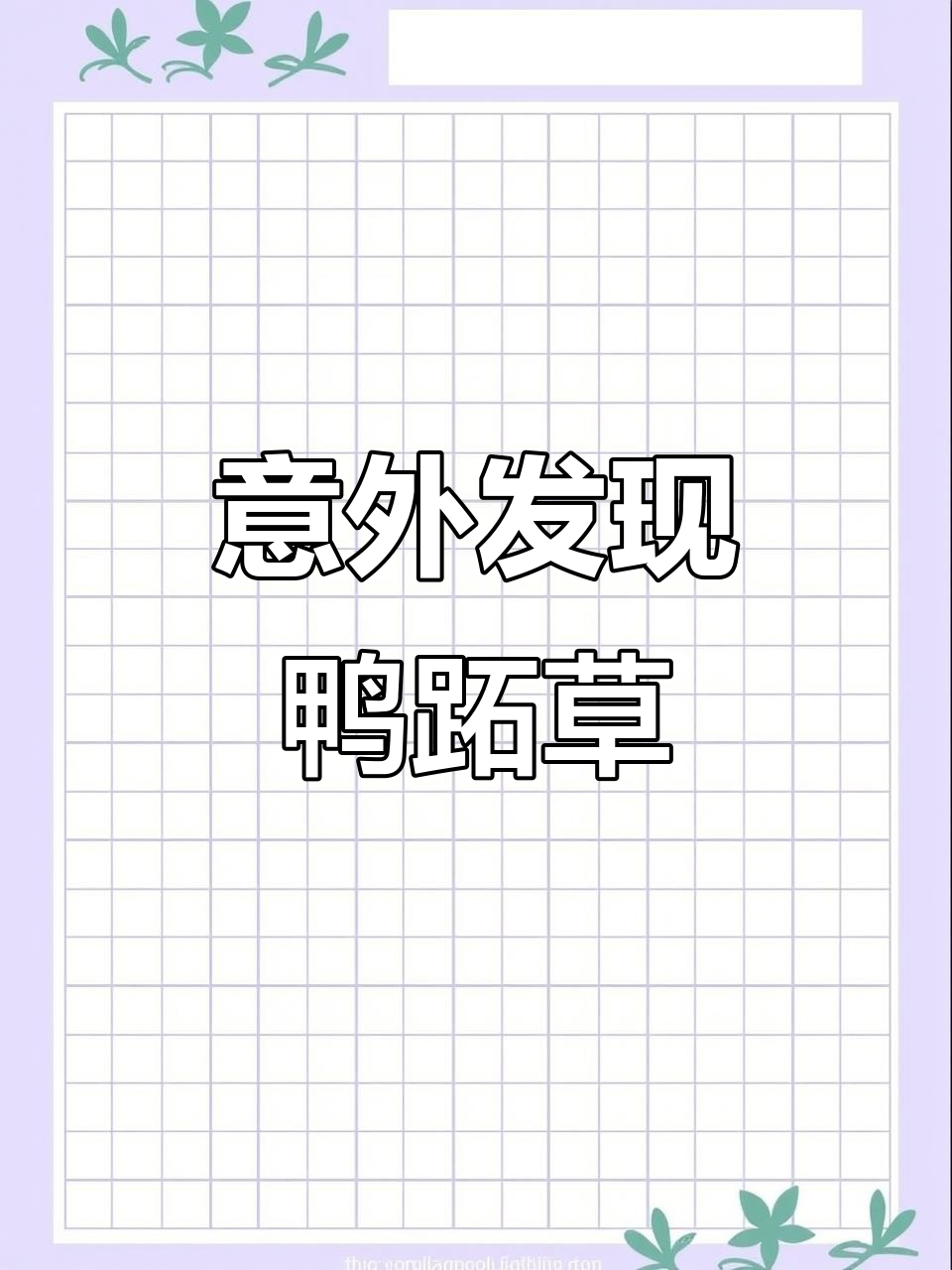 鸭跖草:从杂草到美丽盆栽,竟然是这样!