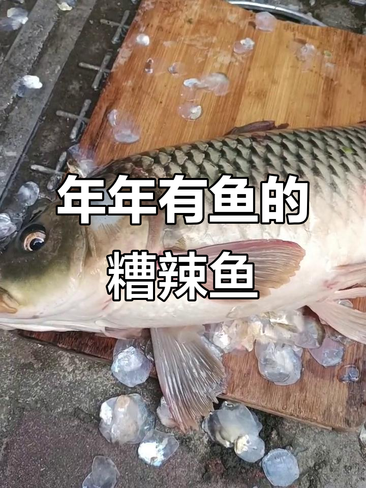 贵州年夜饭必备糟辣鱼,寓意年年有余,做法超简单