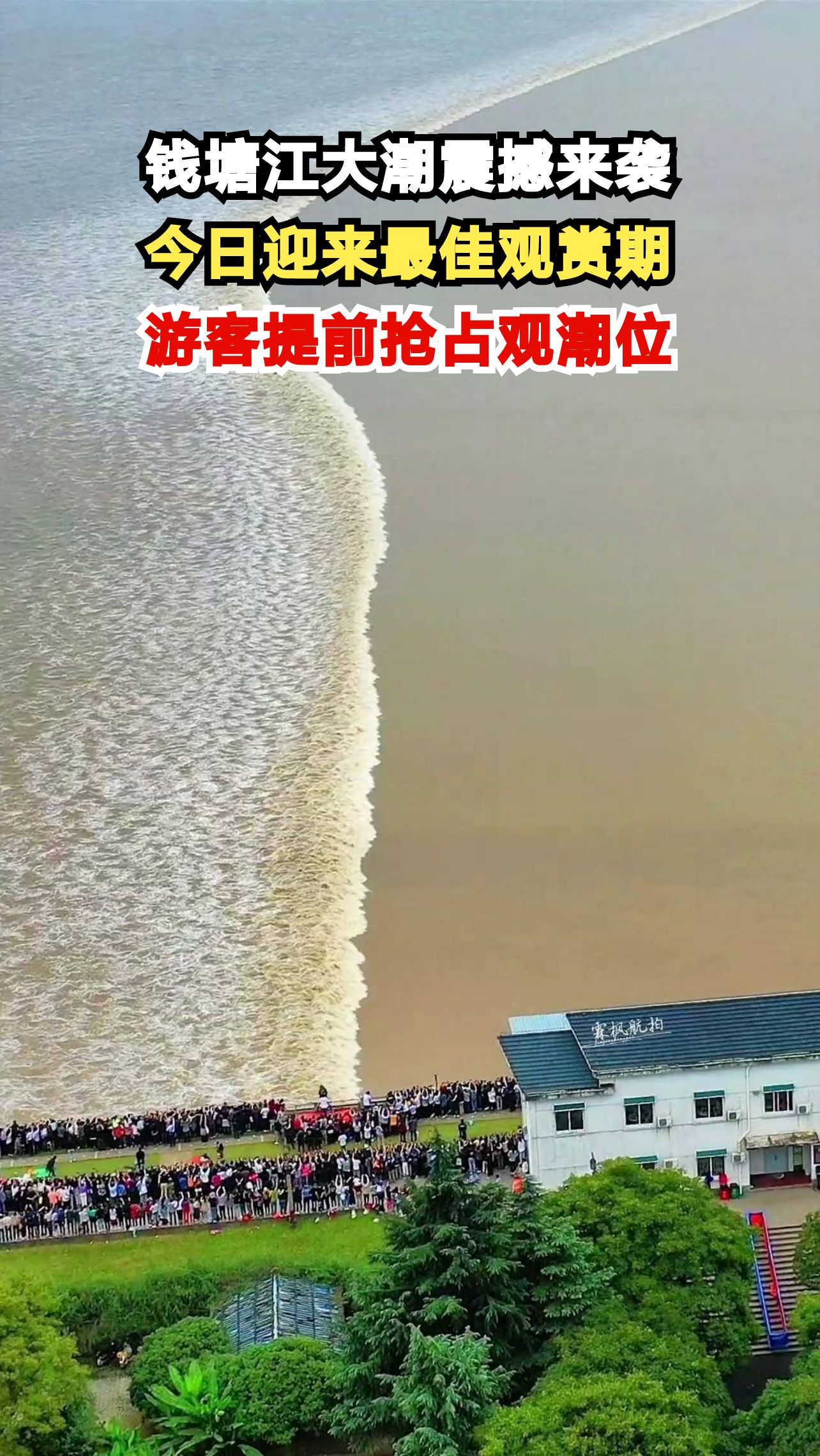 钱塘江大潮今日达巅峰！提前2小时抢位，现场比视频震撼100倍！