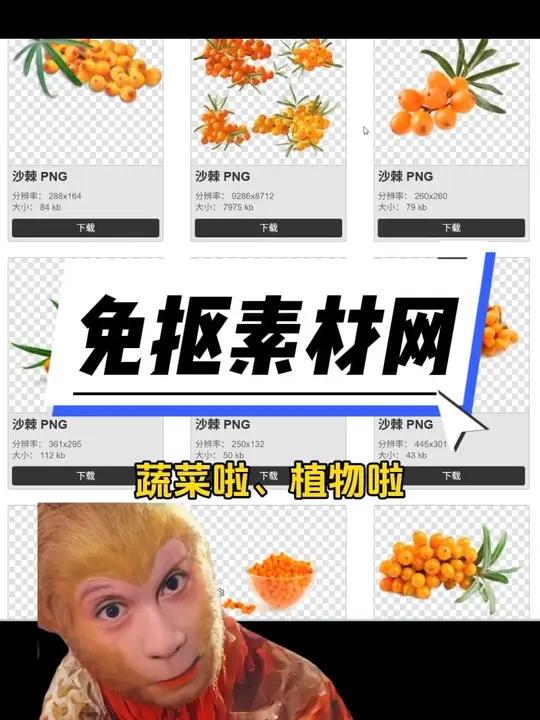 做设计还在到处找素材?那这个免抠素材网必须赶紧用起来!