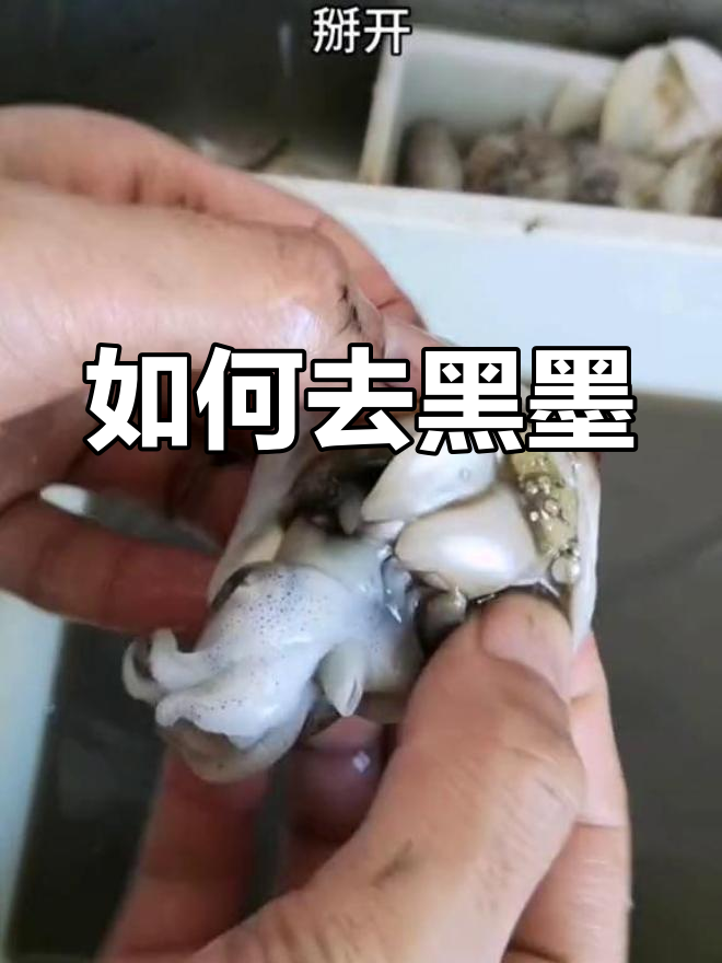 墨鱼宰杀技巧大揭秘,去除黑色墨汁