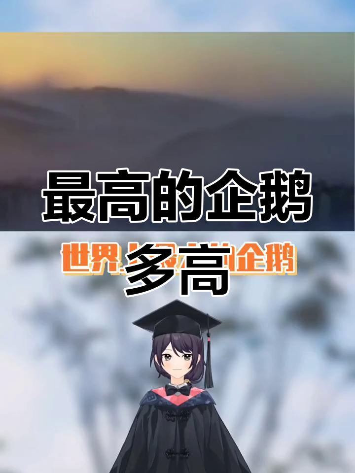帝企鹅的身高揭秘:最高的企鹅有多高?