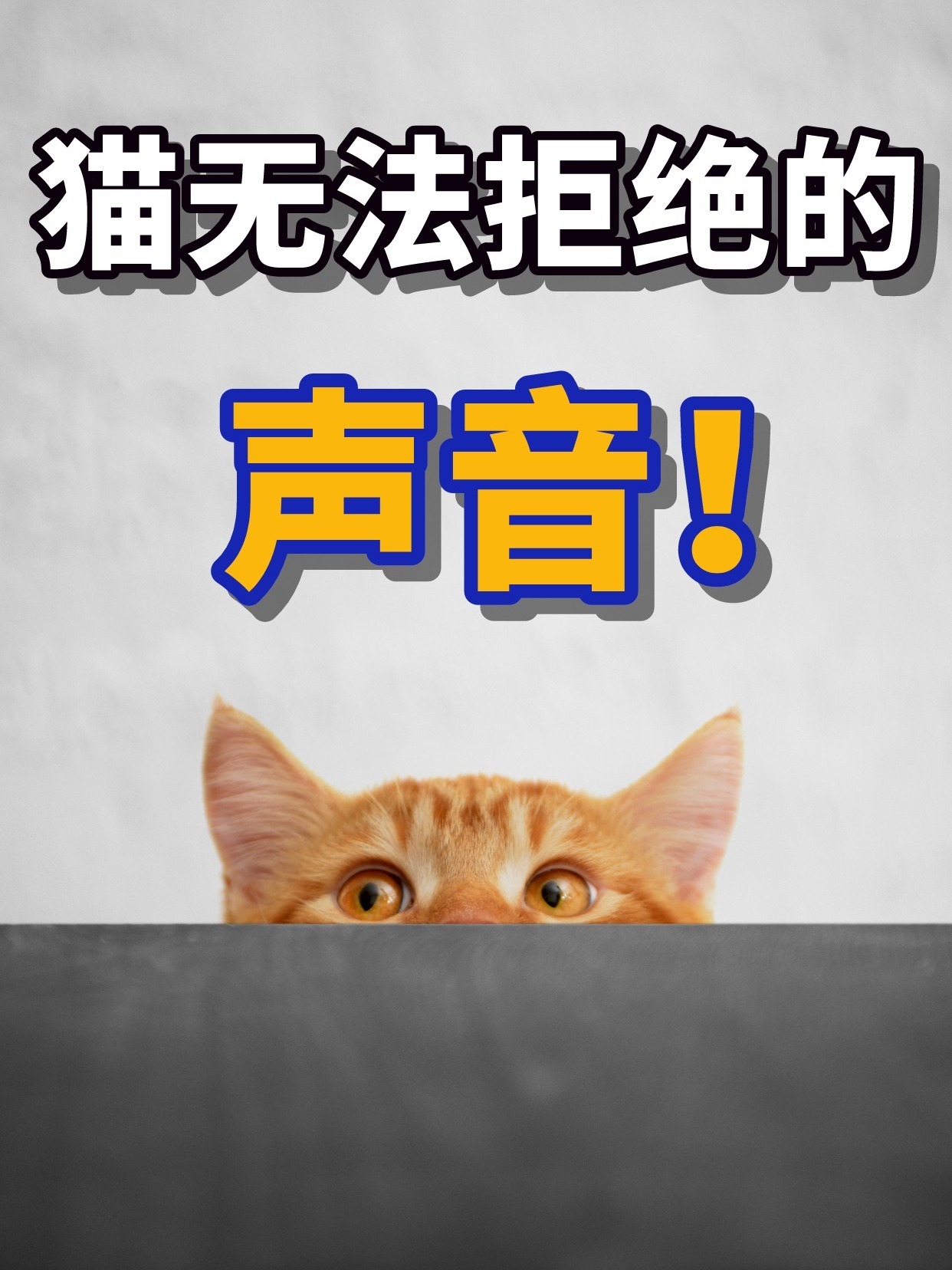 吸引猫咪的几种声音!