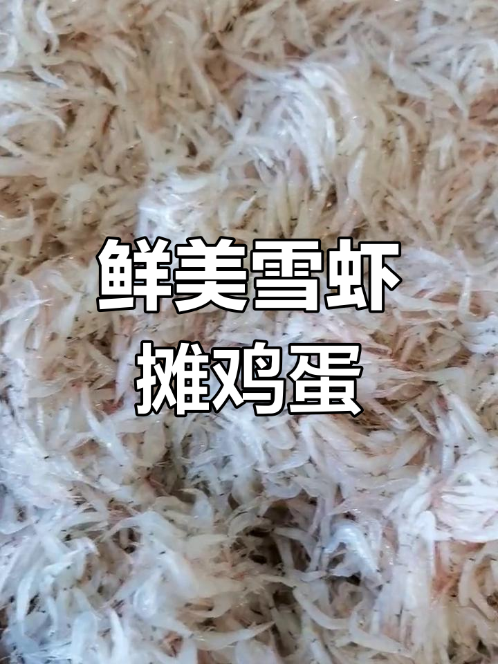 新鲜雪虾,孩子们的最爱